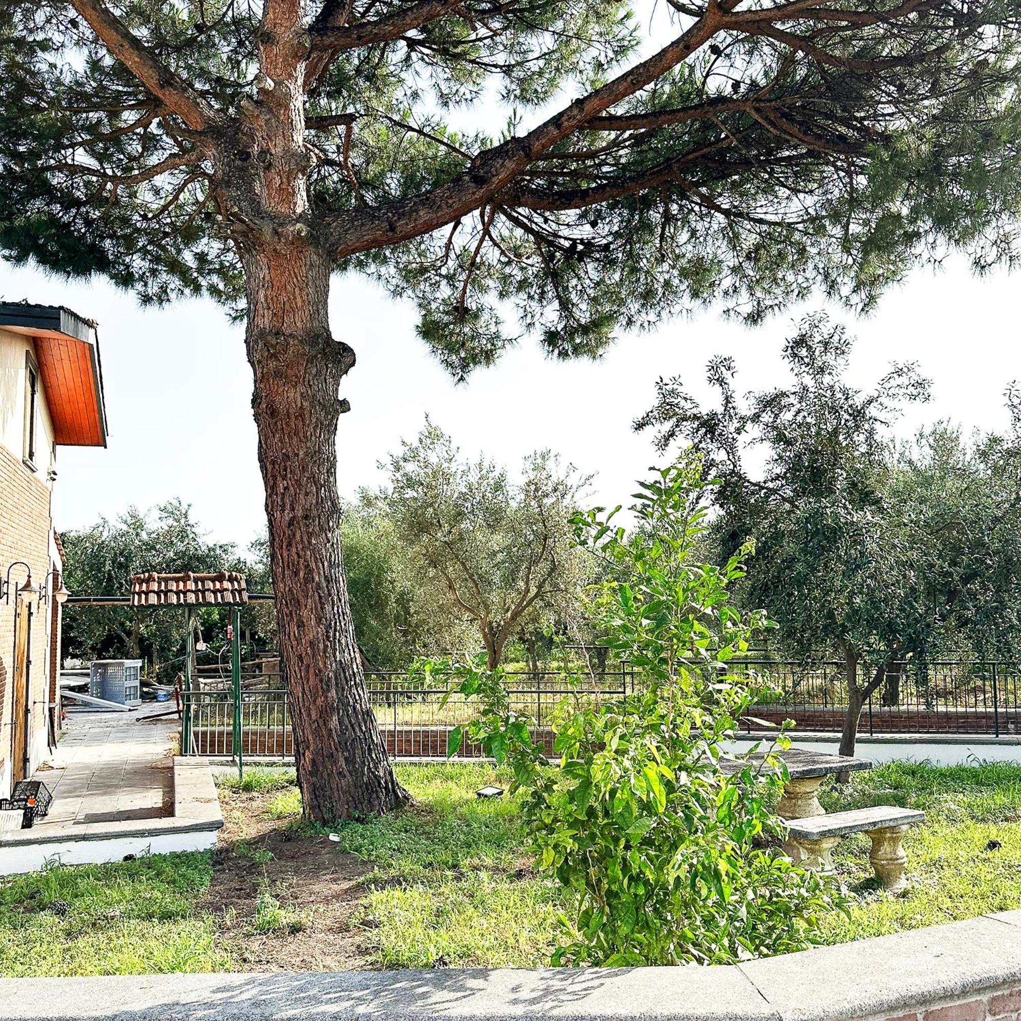 Tenuta Nunziata - Food, Event, Biofarm Torre Annunziata Dış mekan fotoğraf