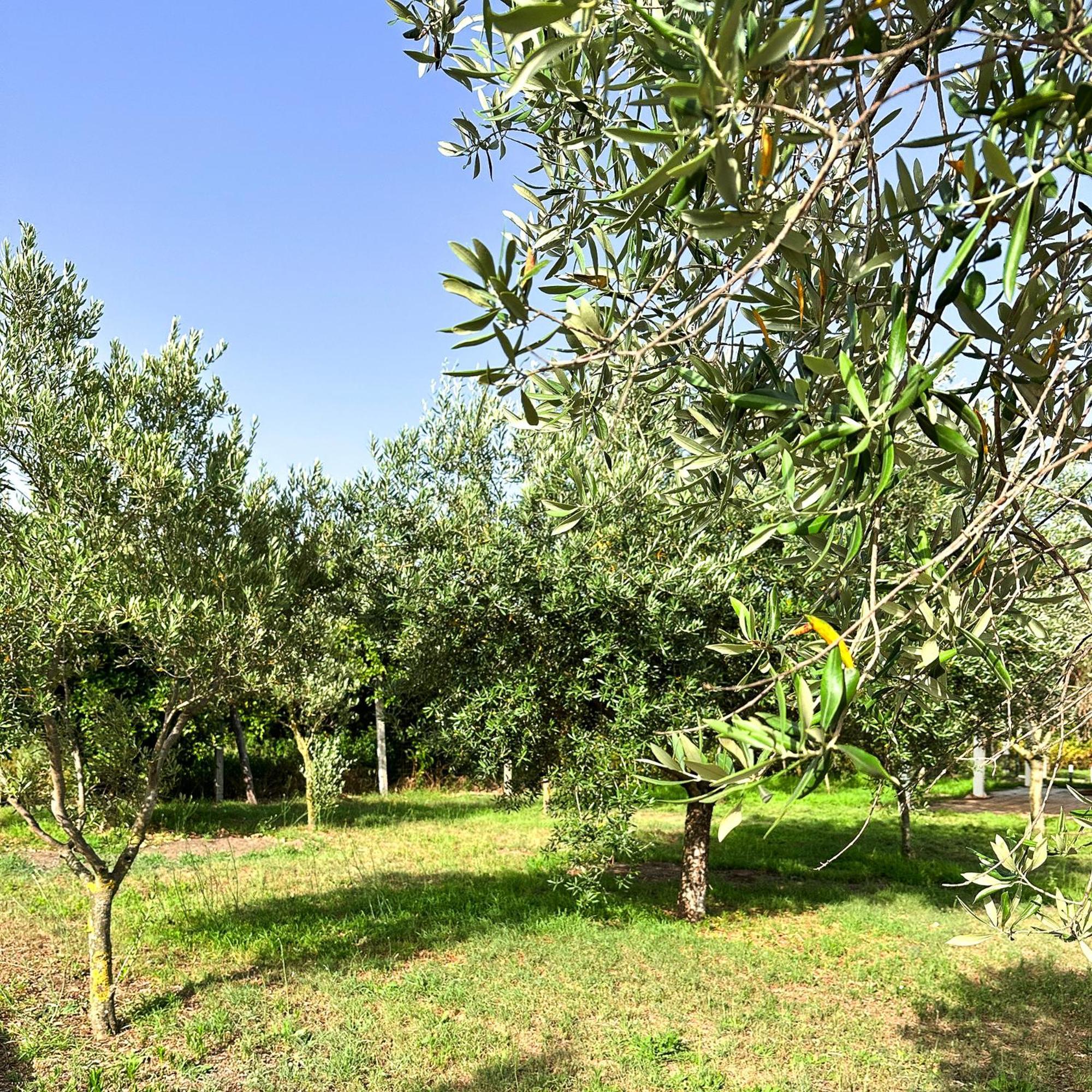 Tenuta Nunziata - Food, Event, Biofarm Torre Annunziata Dış mekan fotoğraf